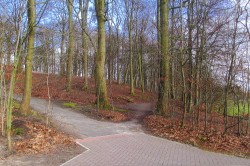Stadtwald Eckernworth Walsrode Lneburger Heide