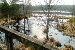 Grundloser See, Lneburger Heide