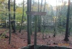 Stadtwald Eckernworth Walsrode Lneburger Heide