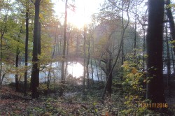 Waldwandern in der Lneburger Heide