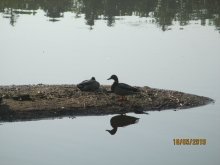 Klostersee Walsrode Lneburger Heide