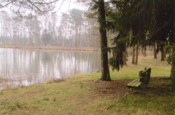 Krelinger See Lneburger Heide