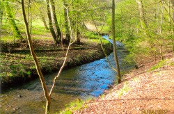 Nordsunden, Lneburger Heide