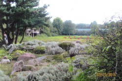 Vogelpark Walsrode Lneburger Heide